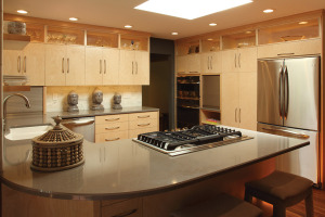 Fusion_Kitchen_X
