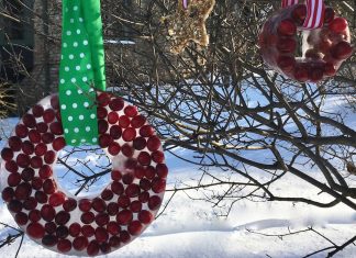 Holiday ornaments for the birds.