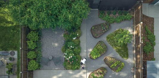 A Small St. Paul Yard Lives Big